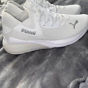 White Puma’s